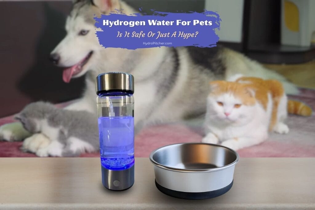 Hydrogen Water For Pets Is It Safe Or Just A Hype